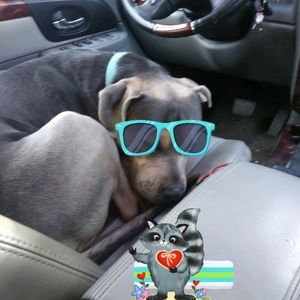 Meet your Posher, Cheryl